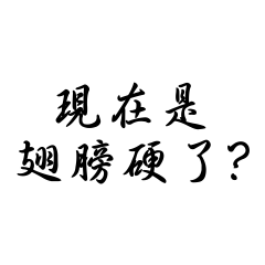 Made in Hiroki (no.10)