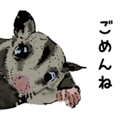 リアルフクロモモンガ(よく使う言葉)