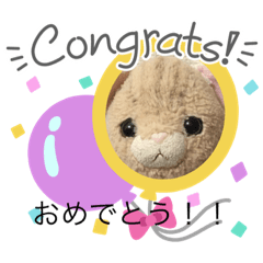 ねこちゃんどうしたの？その⑤