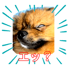 ラナ&ナオ スタンプ