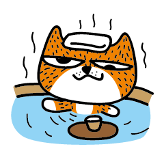 Cat JU - Let's vacation