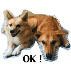 ももたの可愛いスタンプ