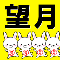 超★望月(もちづき・もちずき)なウサギ