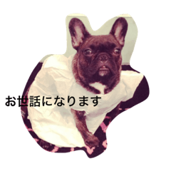 ペロペロペロりん