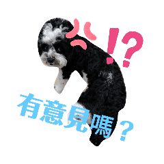 howard_20210711061046