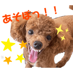 ある日、犬①