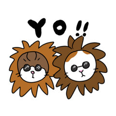 ねこちゃんたち日常