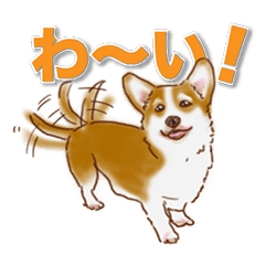 犬　かわいい　いろんな　ワンコ　ペット