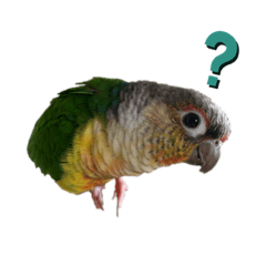 ゆかいな仲間たち   part1