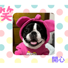 オイルステッカー-日常の言葉