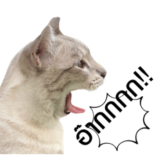 Pizza_20220227213408