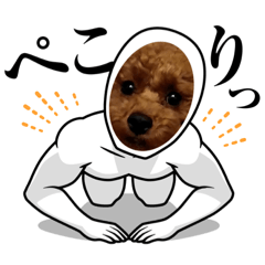 コアのおてんばな日常