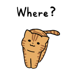 茶トラにゃんこ3(英語)