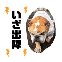 もん吉君スタンプ