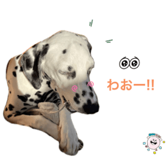 きなメシアンだよ