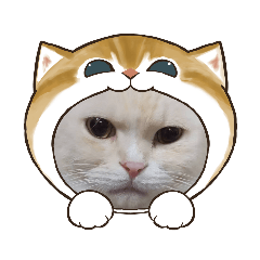 ちょぼ…andりんご