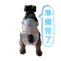 日永ソフィーの日常・・・