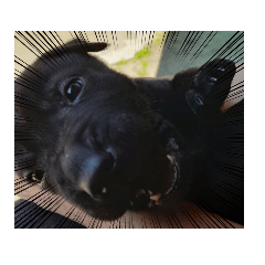 chieh_20230306193021