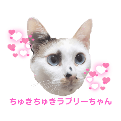 餅山もち子のスタンプ