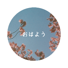 フィルム写真～挨拶～