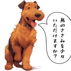 エアーデールテリアの日常