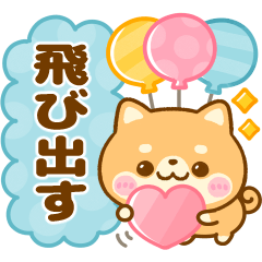 飛び出す♡犬の日♡豆柴日和