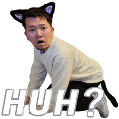 猫ミームなのかもしれないもの