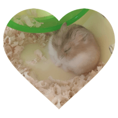 可愛い！ハムスタンプ！！【更新版】