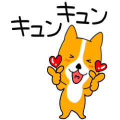 コーギーのこーちゃん2