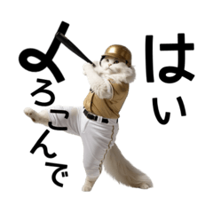 野球が好きなんだ4