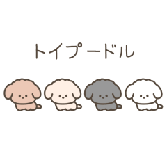 動く！ちっこいトイプードル