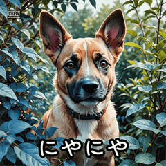 リアルイヌスタンプ