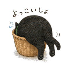 太まし黒ねこ