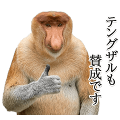 BIG! ずっと使えるテングザル