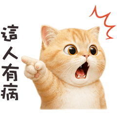 chubby chubby cat 43L
