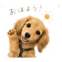 おとまるのスタンプ