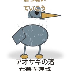 静かなアオサギ連絡