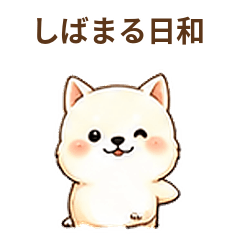 しばまる日和 毎日使える柴犬