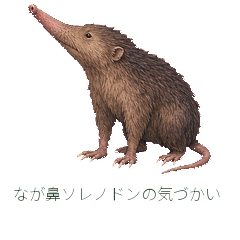 なが鼻ソレノドンの気づかい