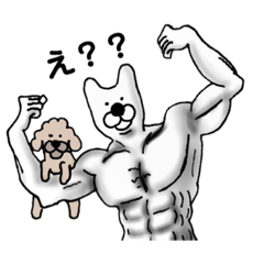 猫？シロクマ？いえ、柴犬です。 2