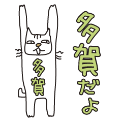 ばんざい猫 多賀用