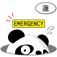 蓮専用 Mr.パンダ [ver.2]