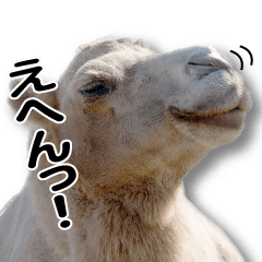 リアルならくださん２