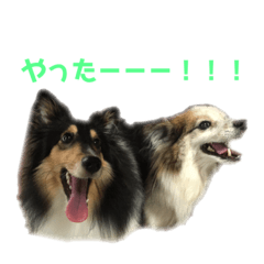 めると小次郎のスタンプ