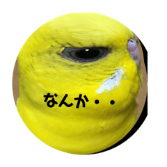 インコスタンプ魚眼レンズ