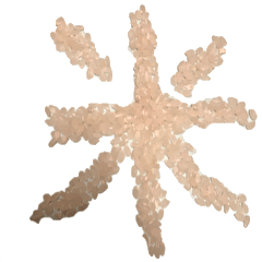 リアルお米スタンプ