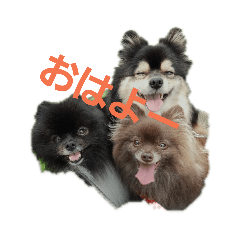 桃太家のスタンプ