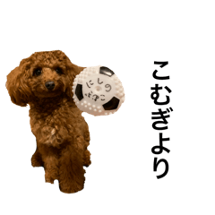 こむぎのスタンプシリーズ