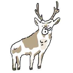 なんかこっちを見ているシカさん。