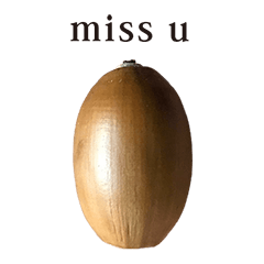 どんぐり B と 英語 English